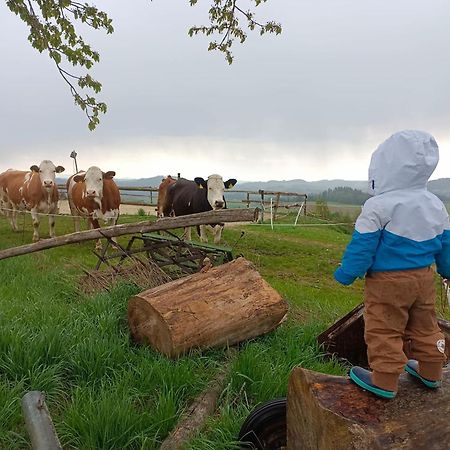 Ferienwohnung im Mühlviertler Panorama Vierseithof Lembach im Mühlkreis Exterior foto